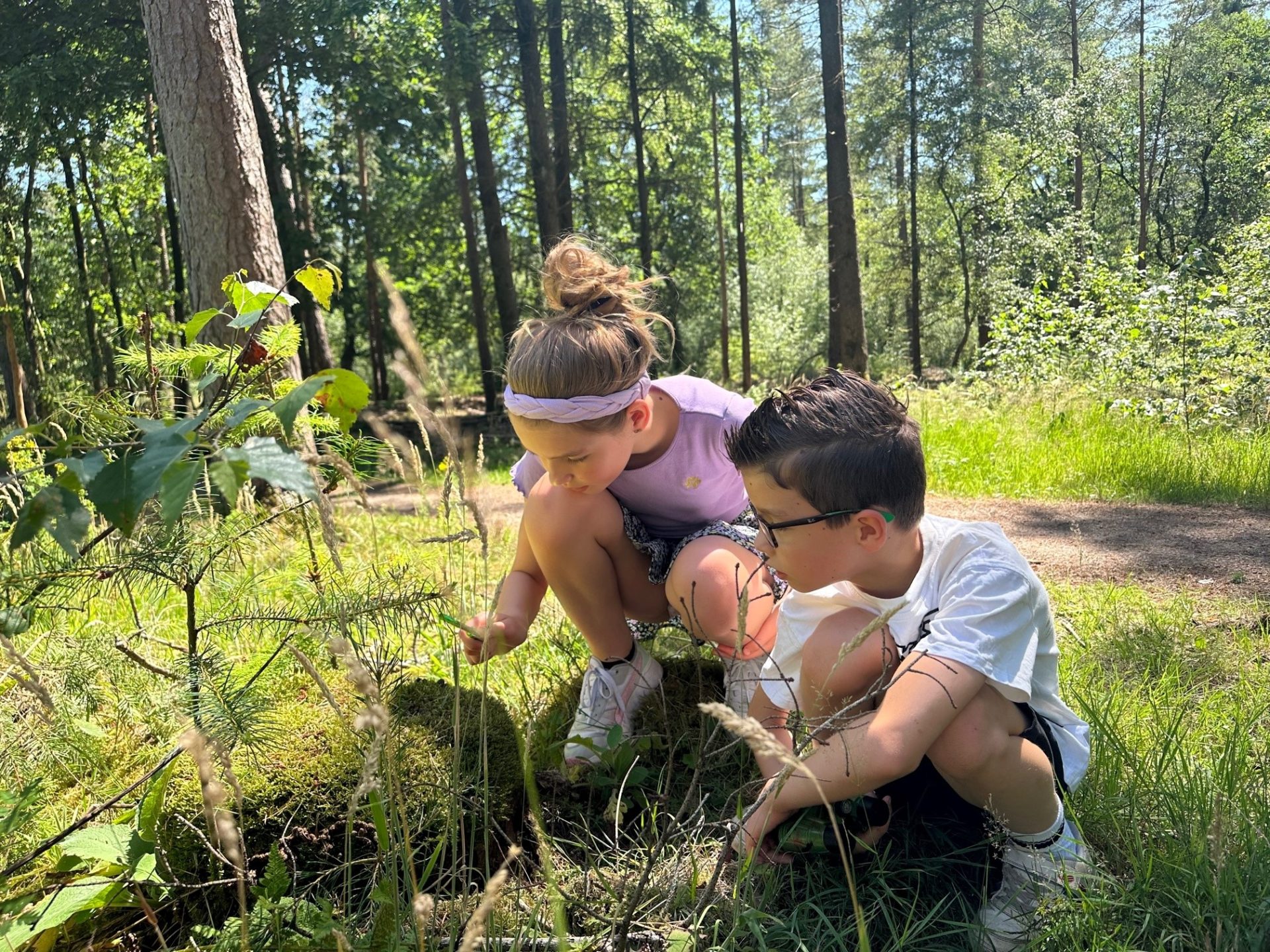 Blog door Kids Proof over de Vogelroute in Epe